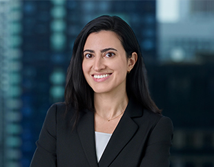 Photo of Diana A. Arsanjani Reisman